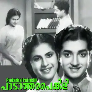 Padatha Painkili image