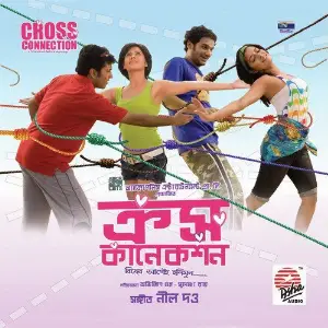 Cross Connection image