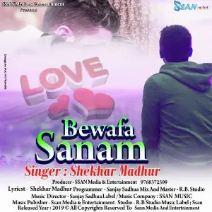 Bewafa Sanam image