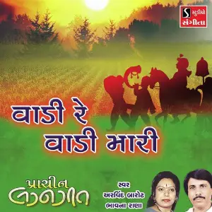 Vadi Re Vadi Mari image