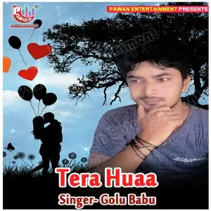 Tera Huaa image