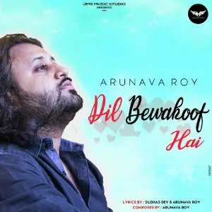 Dil Bewakoof Hai image