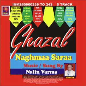 Naghmaa Saraa image