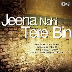 Jeena Nahin Bin Tere image