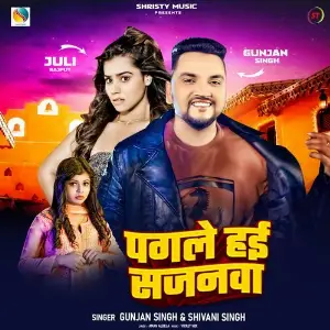 Pagle Hai Sajanwa image