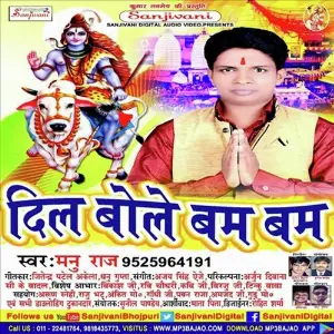 Dil Bole Bam Bam image