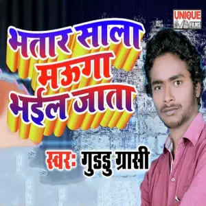 Bhatar Sala Mauga Bhail Jata image