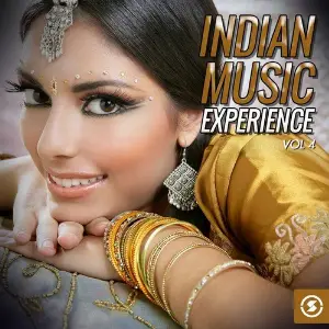 Indian Music Experience, Vol. 4 image