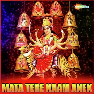 Mata Tere Naam Anek image