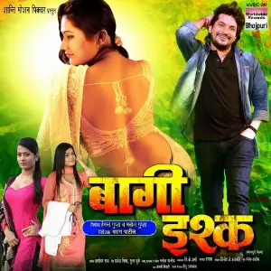 Baghi Ishq image