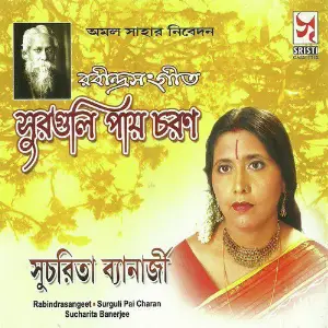Surguli Pay Charan image