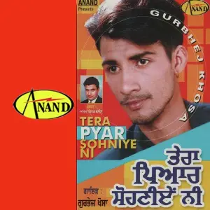 Tera Pyar Sohniye Ni image