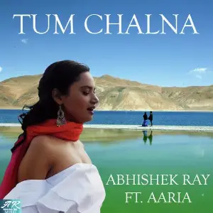 Tum Chalna image