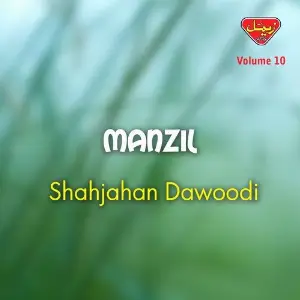 Manzil, Vol. 10 image