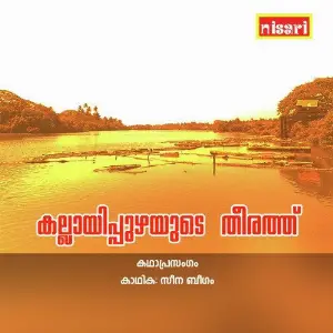 Kallayippuzhayude Theerathu image