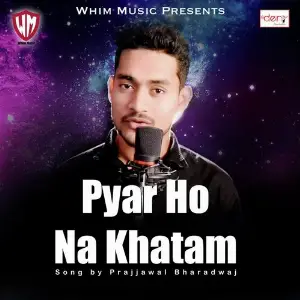Pyar Ho Na Khatam image