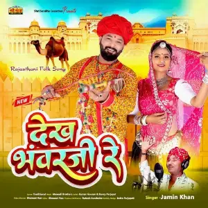Dekh Bhawarji Re image