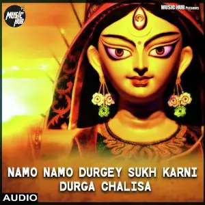 Namo Namo Durge Sukhkarni image