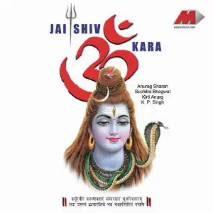 Jai Shiv Om Kara image