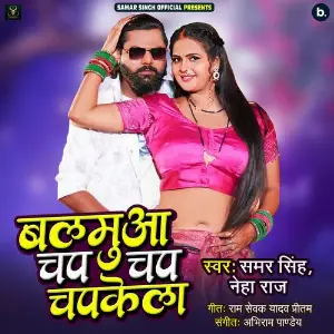 Balmuaa Chap Chap Chapkela image