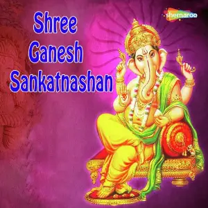Shree Ganesh Sankatnashan image