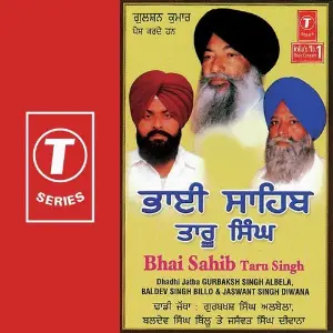 Bhai Sahib Taru Singh image