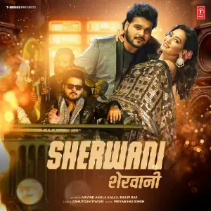 Sherwani image