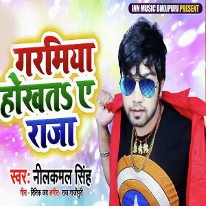 Garamiya Hokhata Ae Raja image