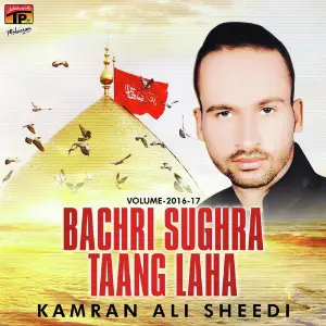 Bachri Sughra Taang Laha, Vol. 2016-17 image