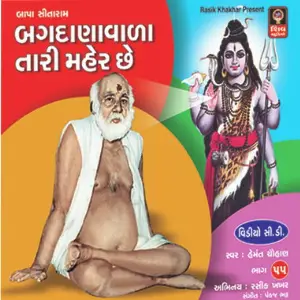 Bagdanawala Tari Maher Chhe image