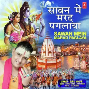 Sawan Mein Marad Paglaya image
