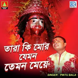 Tara Ki Mor Jemon Temon Meye image