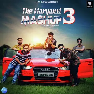 The Haryanvi Mashup 3 image