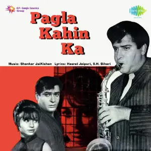 Pagla Kahin Ka image