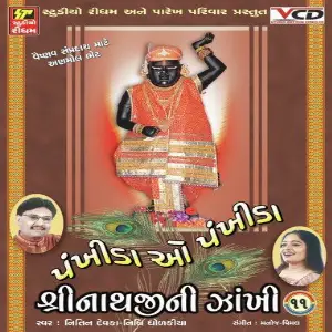 Shrinathji Ni Zankhi Part-11 image