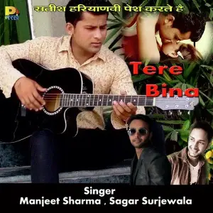 Tere Bina image