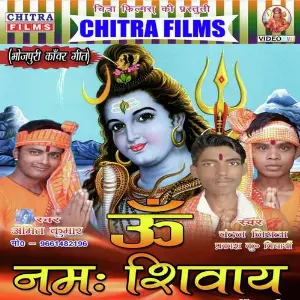 Om Namha Shivaye image