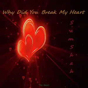 Why Did You Break My Heart image