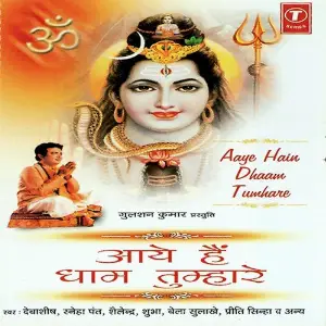 Aaye Hain Dhaam Tumhare image