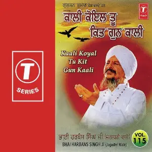 Kaali Koyal Tu Kit Gun Kaali (Vol. 115) image