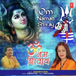 Om Namah Shivay image