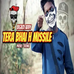 Tera Bhai H Missile image
