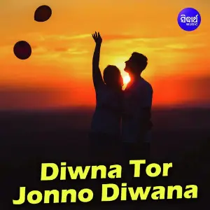 Diwna Tor Jonno Diwana image