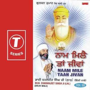 Naam Mile Taan Jivan (Vol. 33) image