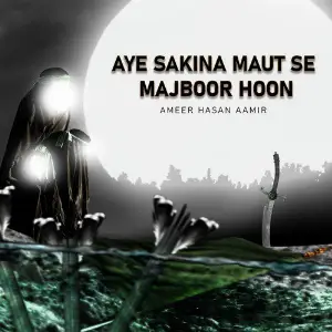 Aye Sakina Maut Se Majboor Hoon image