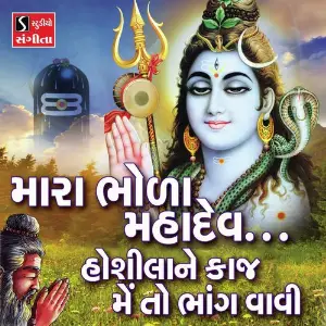 Hoshila Ne Kaaj Main to Bhaang Vaavi image