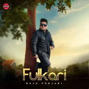 Fulkari image