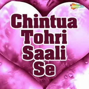 Chintua Tohri Saali Se image