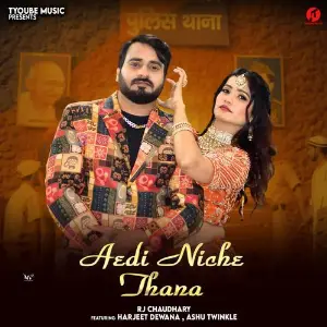 AEDI NEECHE THANA image