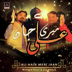 Ali Hain Meri Jaan image